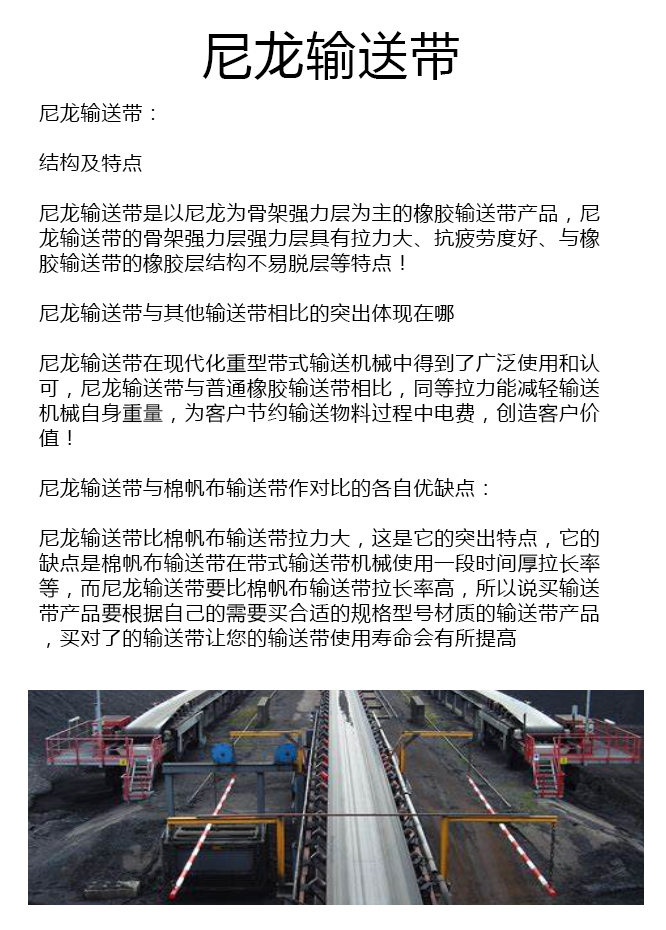 石料厂尼龙带厂家 石料厂尼龙带厂家